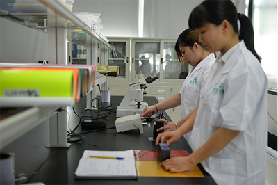 熱轉印燙畫廠檢測服務 品質保障的堅實后盾