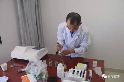 榆陽開展暑期餐飲服務專項檢測，筑牢食品安全防線