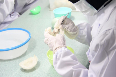 燕窩選購全指南 從入門到精通，找到適合你的那一盞